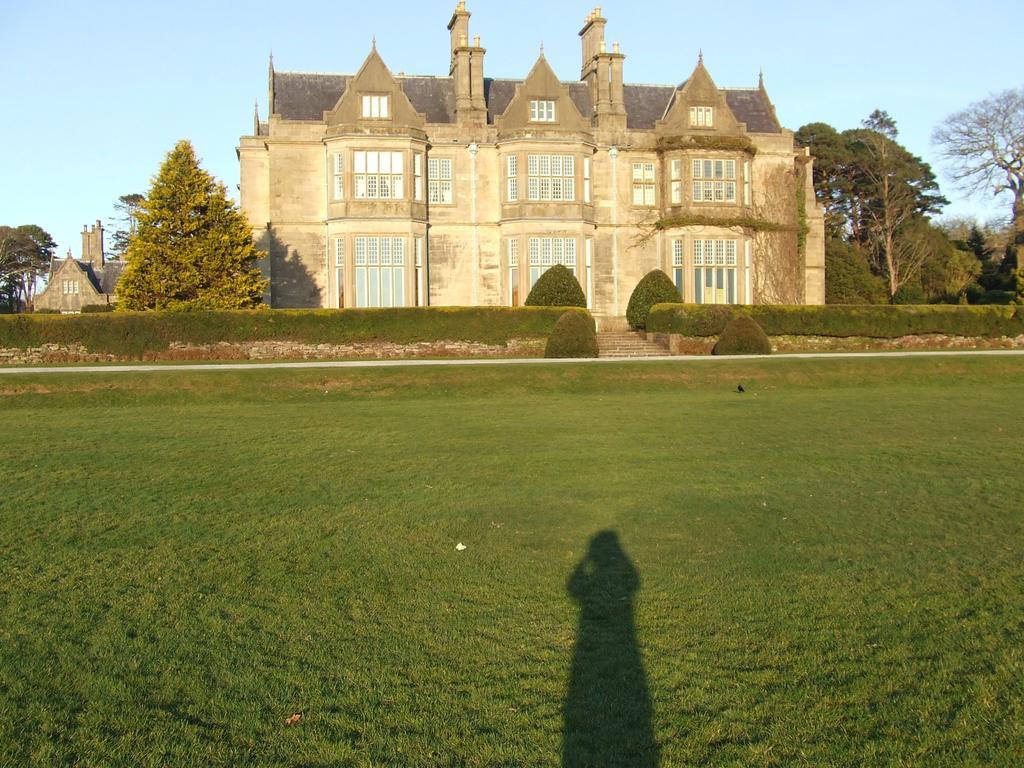 Rockfield House B&B 킬라니 외부 사진